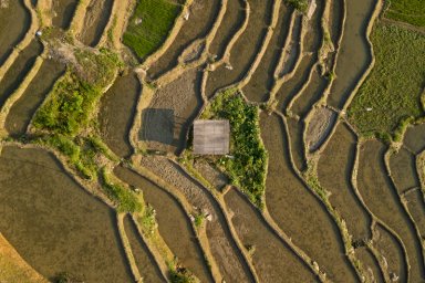 rizières en terrasses nord vietnam