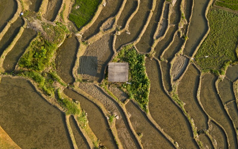 rizières en terrasses nord vietnam