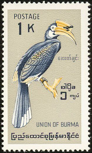 Calao pie sur le timbre birman