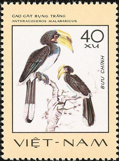 Calao pie sur le timbre vietnamien 