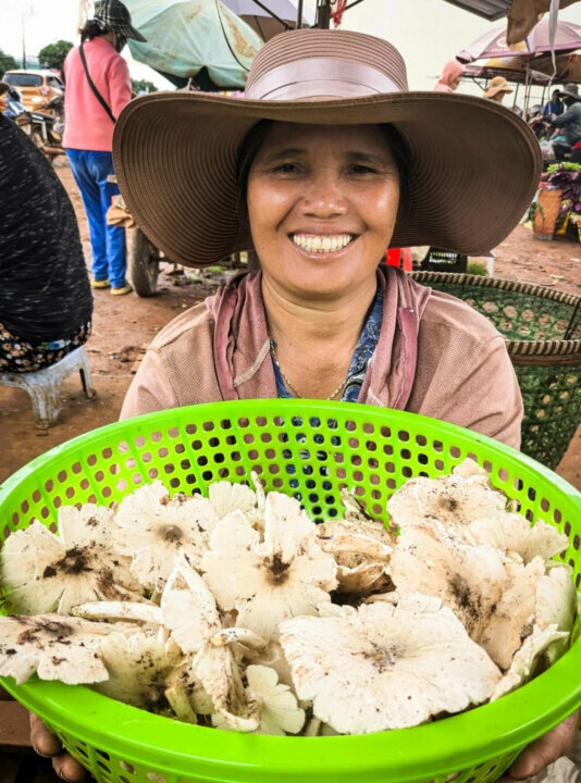 vendeuse champignons vietnam