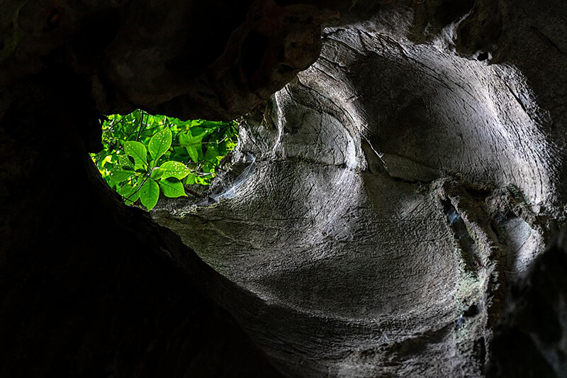 Calcaire de Ninh Binh