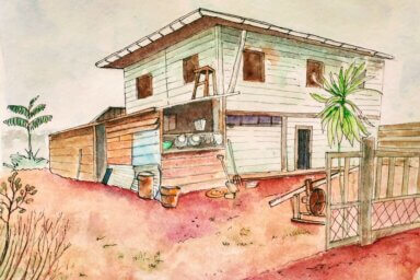 dessin cacao guyane