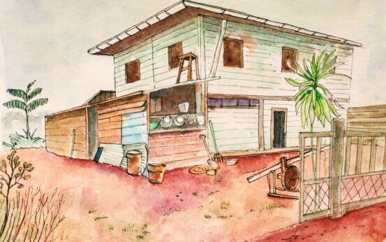 dessin cacao guyane