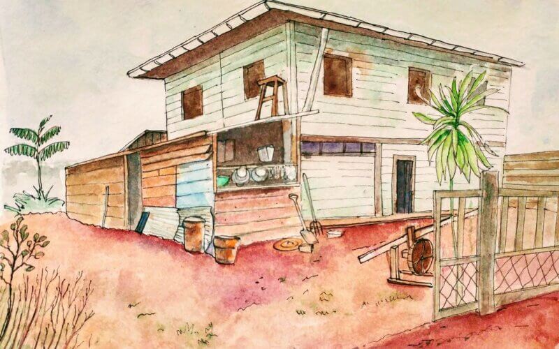 dessin cacao guyane