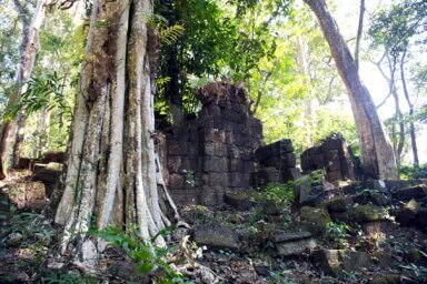 Wat Tomo