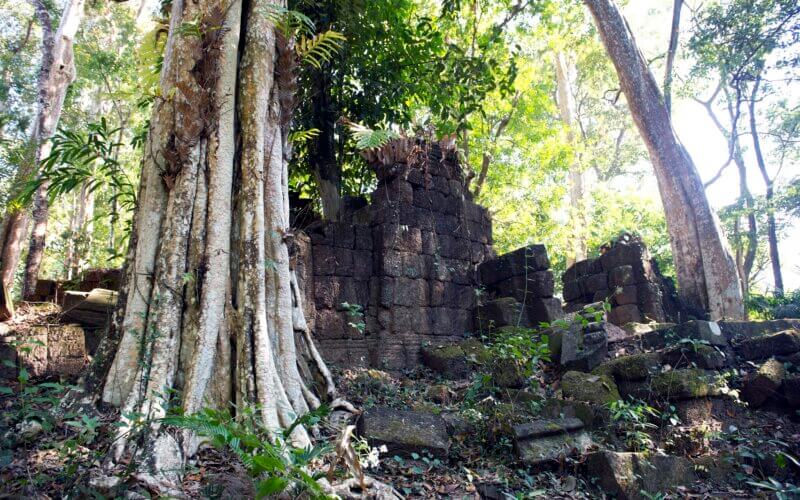 Wat Tomo