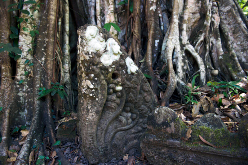 Vestiges d'un naga sacré