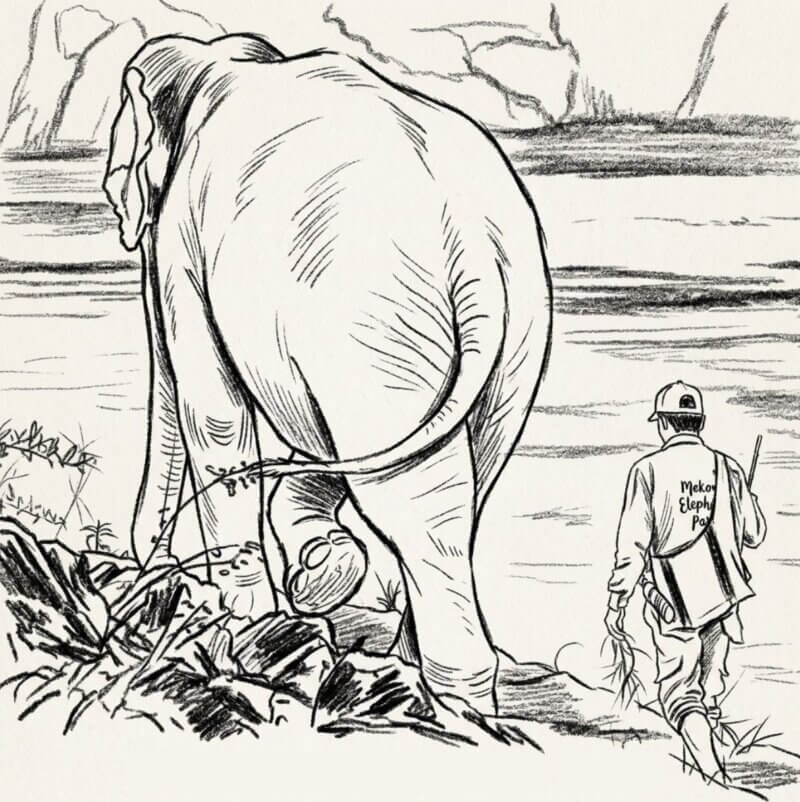 Un éléphant et son cornac au Mekong Elephant Park