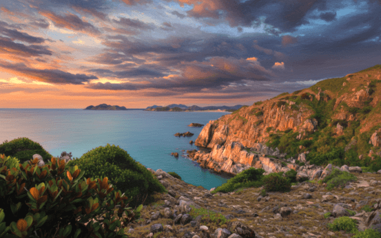 Champa littoral phu yen