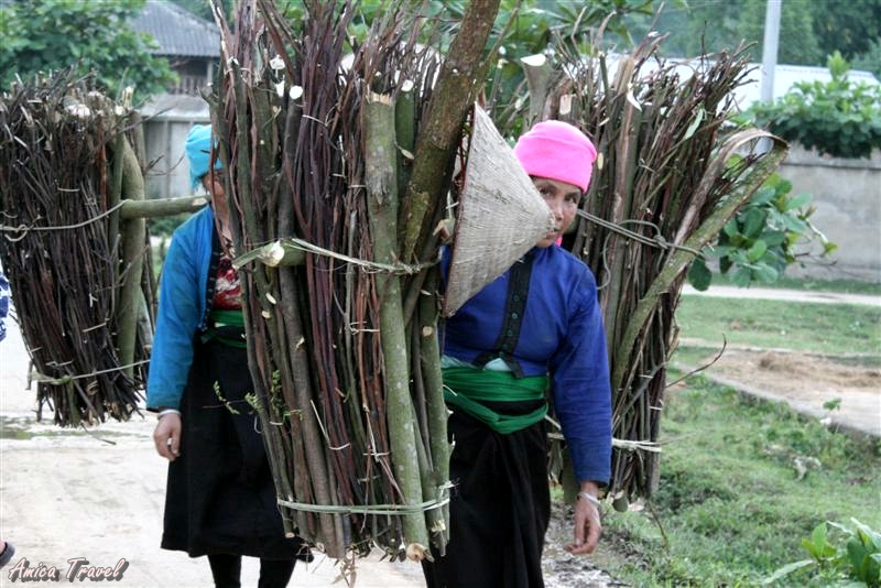 Les femmes de l'ethnie thai à Nghia Lo Les femmes de l'ethnie thai à Nghia Lo