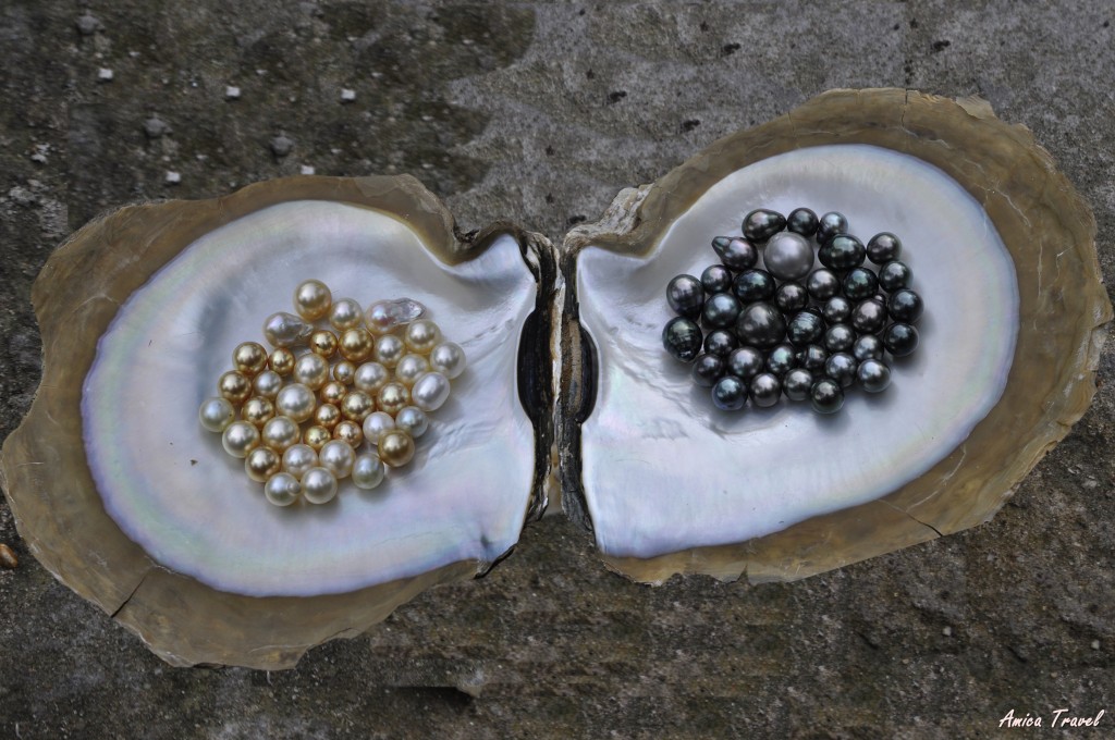 Perles fabriquées sur l'île de Phu Quoc Perles fabriquées sur l'île de Phu Quoc