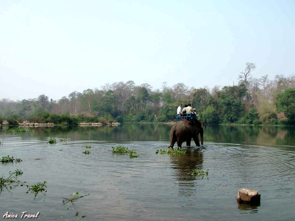 Promenade à dos d'éléphant à Buon Ma Thuot Promenade à dos d'éléphant à Buon Ma Thuot