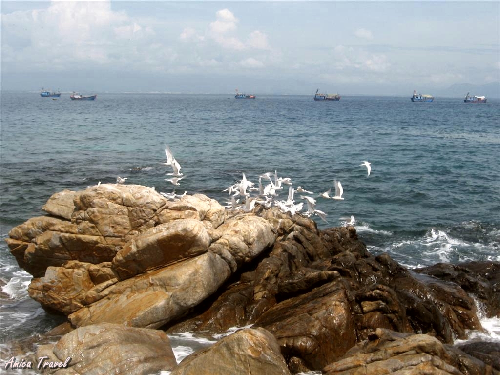 L'ile de Coto L'ile de Coto