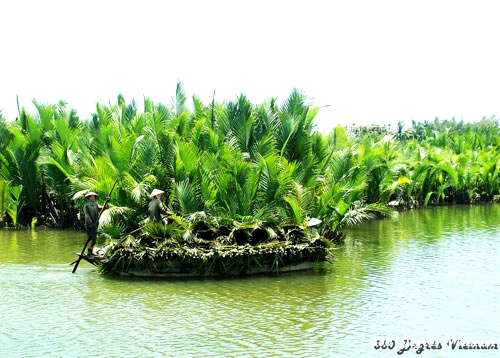 Ben Tre, capitale nationale de la noix de coco Ben Tre, capitale nationale de la noix de coco
