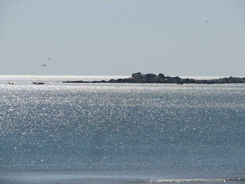 oc Plage Non Nuoc