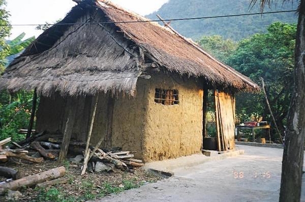 maison foret vietnam maison foret vietnam