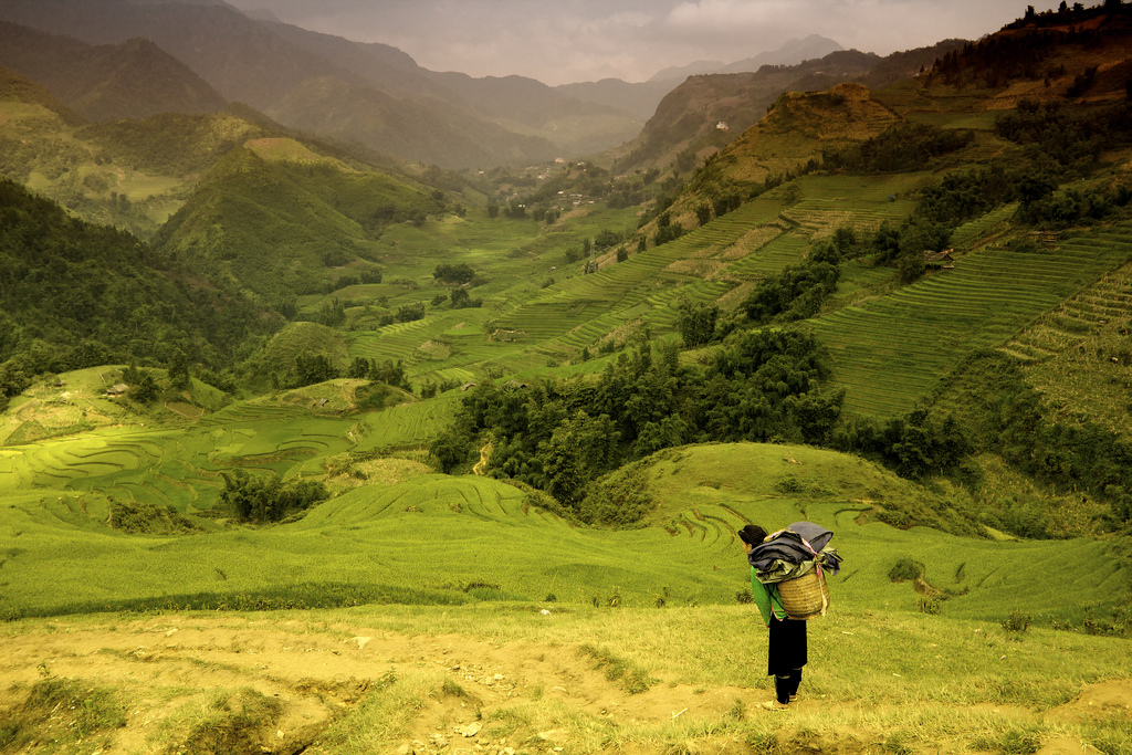 Sapa - Vietnam