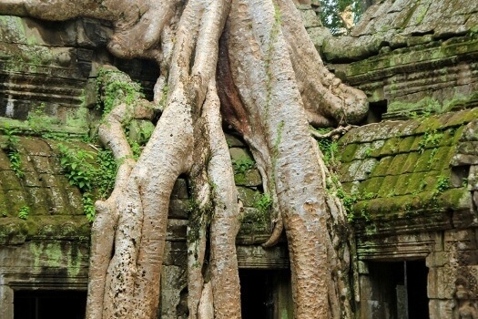 voyage au cambodge