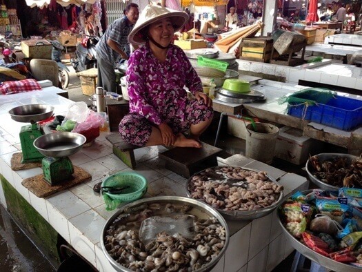 Sud du Vietnam