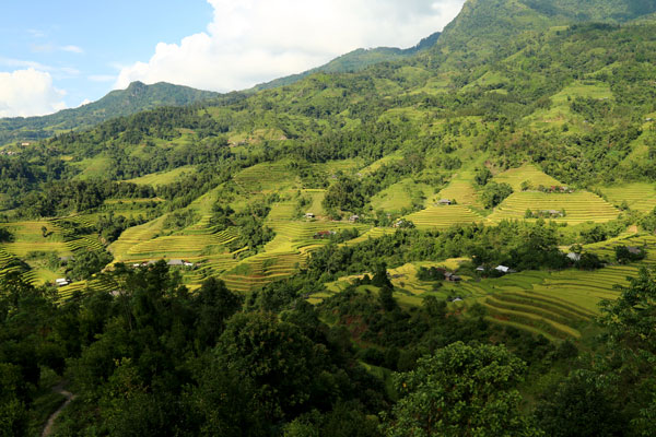panorama sur les rizières en terrasses a ha giang