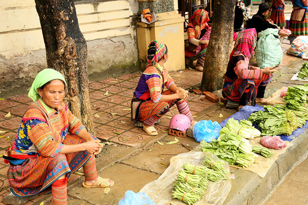 femme hmong vendent des legumes au marche xin man a ha giang vietnam