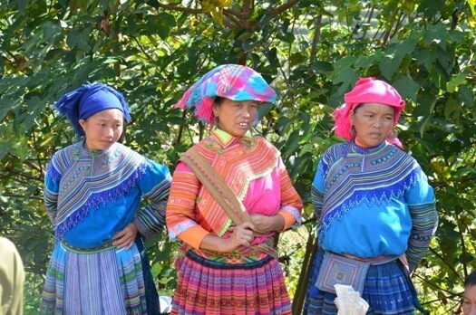 nord du vietnam nord du vietnam