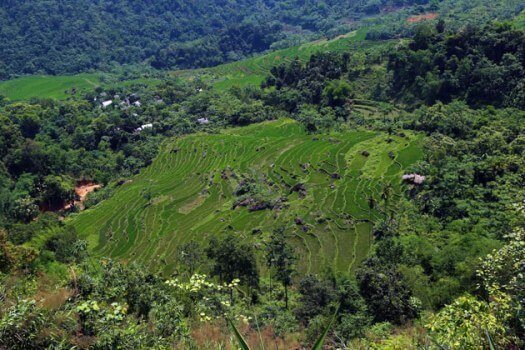 reserve de Pu Luong reserve de pu luong
