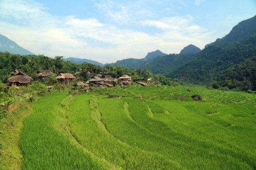 reserve de Pu Luong reserve de pu luong