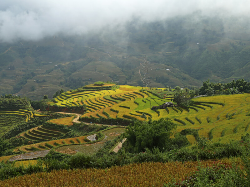 Les rizières en terrasse du Nord Vietnam - 360 Indochine