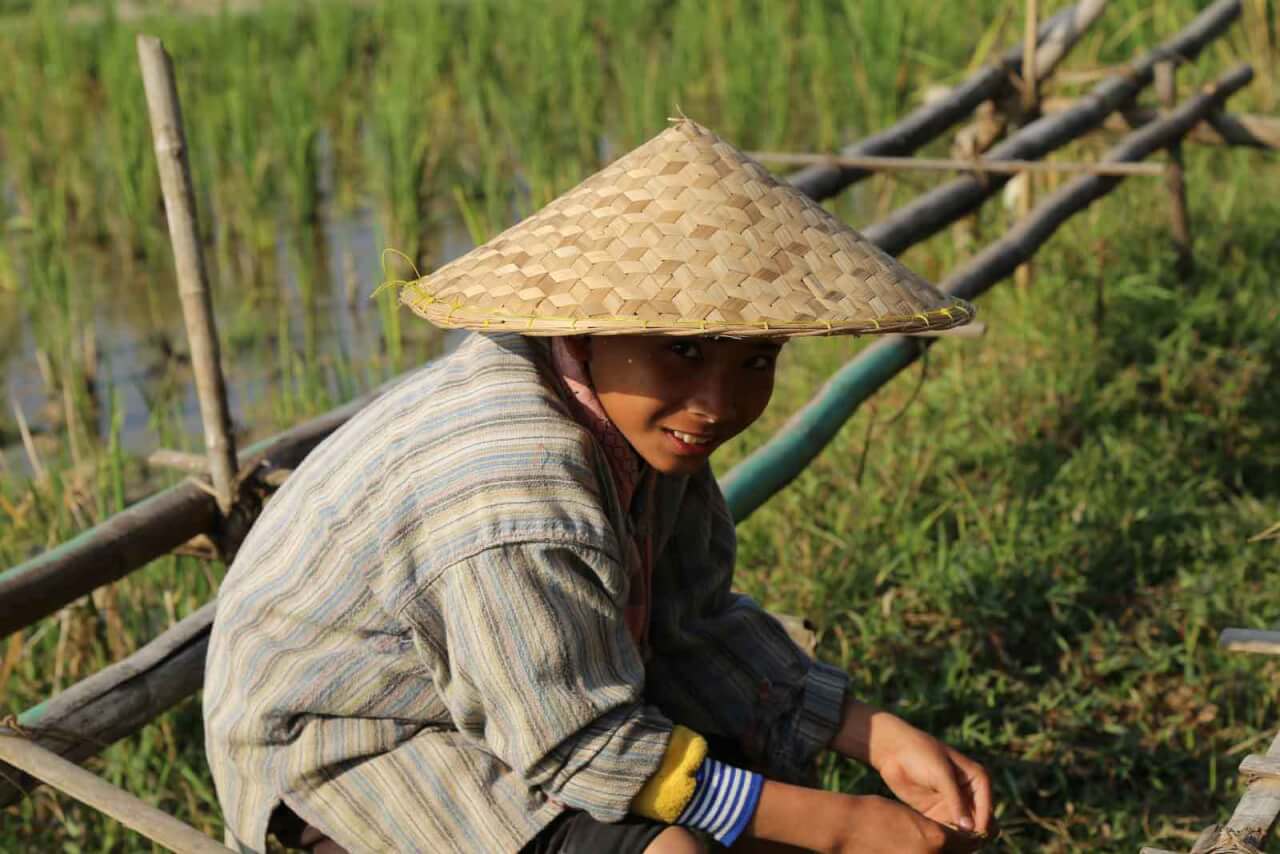 activité riziculture voyage laos
