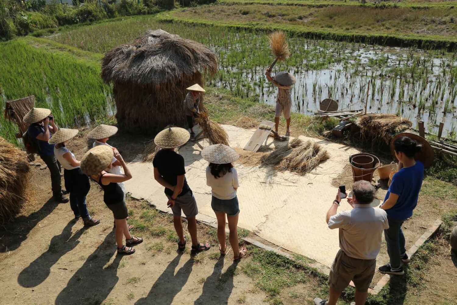 activité riziculture voyage laos