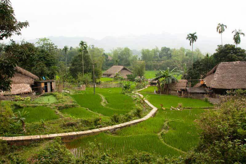 Au milieu de la verdoyante, Ha Giang, Nord Vietnam