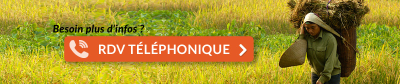 rdv telephonique vietnam