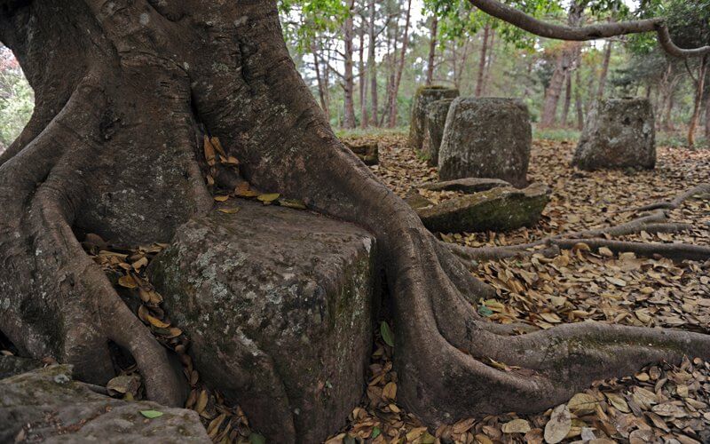 La civilisation mégalithique Haut Laos